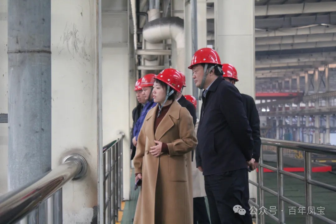 陈佳到乐鱼(中国)调研